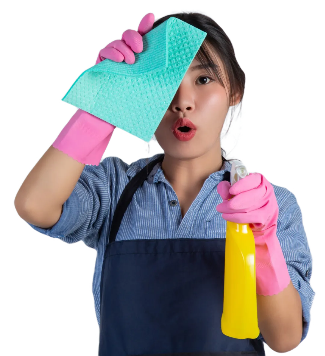 Cleaning Company Strategy Image